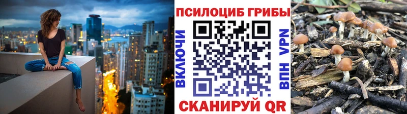 Псилоцибиновые грибы Magic Shrooms  наркотики  Болохово 